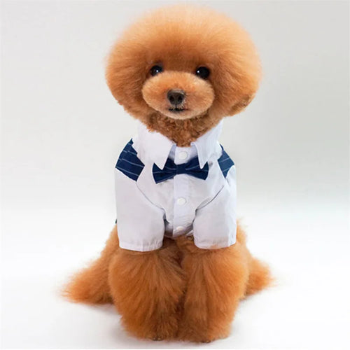 English Style Gentleman Dog Dress Puppy Suit with Tie for Formal Occasions Four Seasons Wedding Pet Photo Teddy Clothes