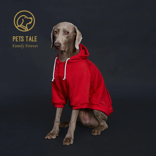 Colorful Dog Hoodie with Pocket & Leather Patch — Cozy Pet Hoodie