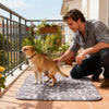 Dog Pee Pads Fast Absorbent Pet Training Mat Leak-Proof Pet Training Pads for Dogs Indoor for Pee Cats Potty Training pee pads