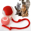 Pet Toy Ball with Tail Rope，Smart Automatic Pet Chase Ball Toy, Upgraded Speedy Tail Kitten Toy for Bored Indoor Adult Pets