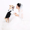 English Style Gentleman Dog Dress Puppy Suit with Tie for Formal Occasions Four Seasons Wedding Pet Photo Teddy Clothes