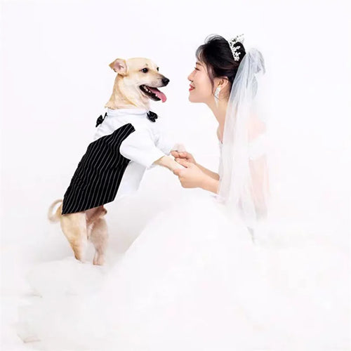 English Style Gentleman Dog Dress Puppy Suit with Tie for Formal Occasions Four Seasons Wedding Pet Photo Teddy Clothes