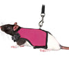 Solid Adjustable Pet Harness and Leash for Rabbit Bunny Cat Ferrets Outdoor Walking Pets Supplies lapin accessoires pour animaux