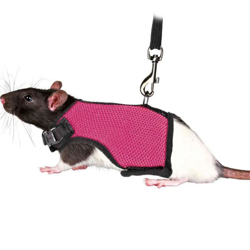 Solid Adjustable Pet Harness and Leash for Rabbit Bunny Cat Ferrets Outdoor Walking Pets Supplies lapin accessoires pour animaux