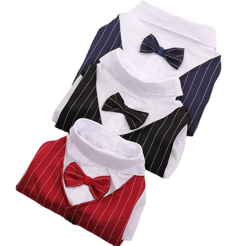 English Style Gentleman Dog Dress Puppy Suit with Tie for Formal Occasions Four Seasons Wedding Pet Photo Teddy Clothes