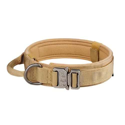 Tactical Dog Collar with Control Handle — 1000D Nylon, Double Closure & D-Ring | Collar Only or Collar & Leash Set | M–XL