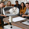 Cat Desk Bed 360 Rotating Hammock for Cat Desk Clamp Kitten Bed for Kittens Pets Animals Indoor Home Apartment Living Room