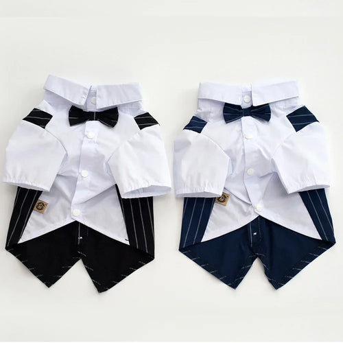 English Style Gentleman Dog Dress Puppy Suit with Tie for Formal Occasions Four Seasons Wedding Pet Photo Teddy Clothes