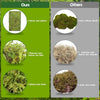 14OZ Natural Sphagnum Moss for Reptiles, Terrarium Bedding & Substrate for Snakes, Gecko, Frogs (50QT)