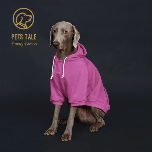 Colorful Dog Hoodie with Pocket & Leather Patch — Cozy Pet Hoodie