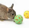 Pet Food Dispenser for Rabbits Carrot Interactive Bunny Toy Snack Toy Ball Food Dispenser Ball Bite Resistant Feeding Toys