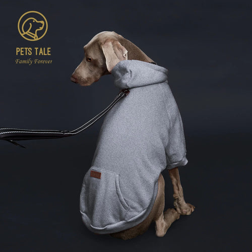 Colorful Dog Hoodie with Pocket & Leather Patch — Cozy Pet Hoodie