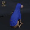 Colorful Dog Hoodie with Pocket & Leather Patch — Cozy Pet Hoodie