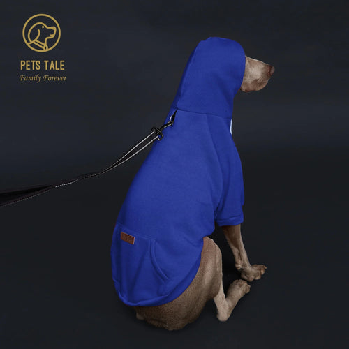 Colorful Dog Hoodie with Pocket & Leather Patch — Cozy Pet Hoodie