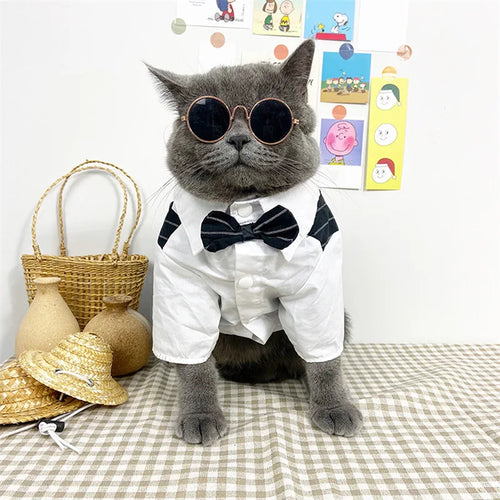 English Style Gentleman Dog Dress Puppy Suit with Tie for Formal Occasions Four Seasons Wedding Pet Photo Teddy Clothes
