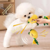 Dog Teeth Cleaning Toy Fruit Shape Bite Resistant Dog Plush Toy Built-in Sounder Can Bite Vocal Squeaky Dog Toy