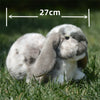 Realistic Lop Ear Rabbit Plush Toy, Lop Rabbit Plushie, Lifelike White Brown Bunny Stuffed Animal, Holland Lop Simulation Doll