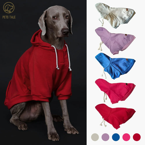 Colorful Dog Hoodie with Pocket & Leather Patch — Cozy Pet Hoodie