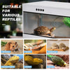 Stackable Reptile Terrarium, PVC Bearded Dragon Enclosure – Tempered Glass Tank for Amphibians Reptilians Arachnids Pets Habitat
