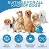 Pet Toy Ball with Tail Rope，Smart Automatic Pet Chase Ball Toy, Upgraded Speedy Tail Kitten Toy for Bored Indoor Adult Pets