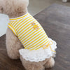 Pet Thin Striped Dress Dog Teddy Small Dog Yorkshire Lace Vest Dog Dresses for Small Dogs Puppy Clothes