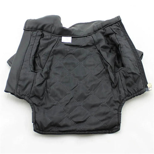 Glorious Eagle Outerwear Fashion C(XXS-XXL)