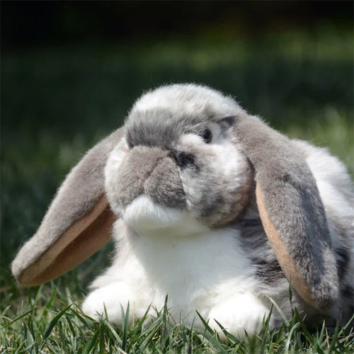 Realistic Lop Ear Rabbit Plush Toy, Lop Rabbit Plushie, Lifelike White Brown Bunny Stuffed Animal, Holland Lop Simulation Doll
