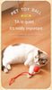New Cat Interactive Ball Toy Automatic Rolling Ball Faux Tail Rechargeable Smart Pet Electric Toy Dog Cat Training Imitate Mouse