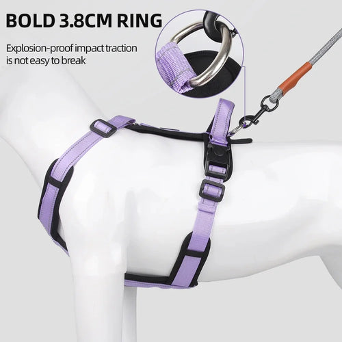 BeiYu Pet Harness With Leash Vest For Dogs
