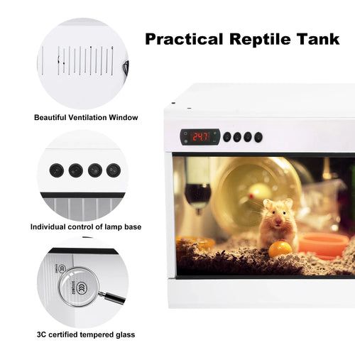 Stackable Reptile Terrarium, PVC Bearded Dragon Enclosure – Tempered Glass Tank for Amphibians Reptilians Arachnids Pets Habitat