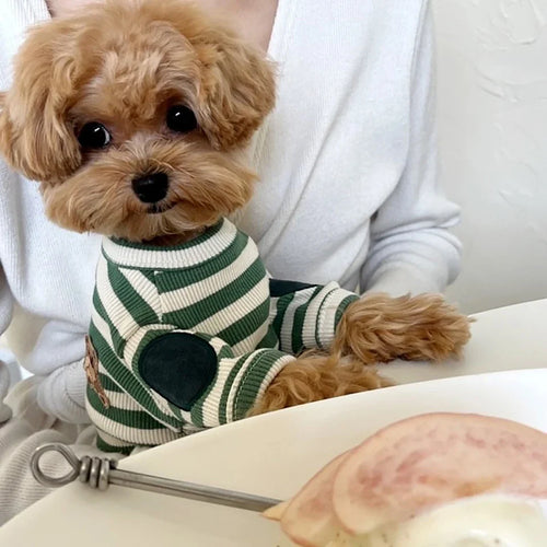 Black Striped Pet Dog Clothes Summer Cartoon Teddy T-shirt Yorkshire Two Leg Clothes Small Dog Soft Pullover
