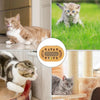 Double-Sided Corrugated Cat Scratching Board - Brown Cardboard Toy