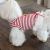 Pet Thin Striped Dress Dog Teddy Small Dog Yorkshire Lace Vest Dog Dresses for Small Dogs Puppy Clothes