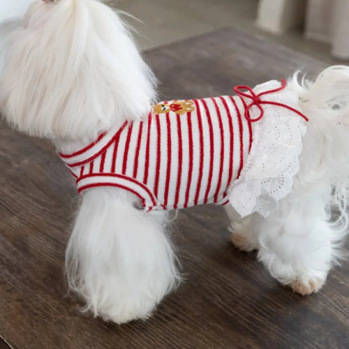 Pet Thin Striped Dress Dog Teddy Small Dog Yorkshire Lace Vest Dog Dresses for Small Dogs Puppy Clothes