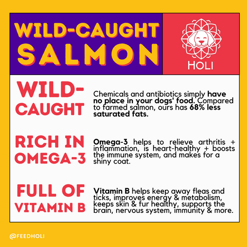 Wild Caught Salmon Dog Treats