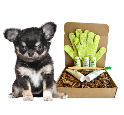 4-FURRY DOGS *SENSITIVE GROOMING KIT