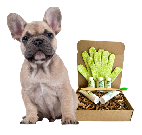 4-FURRY DOGS *REGULAR GROOMING KIT