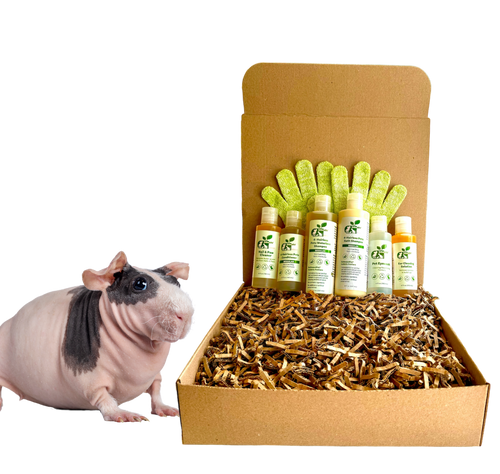 4-HAIRLESS PETS *SKINNYPIG REGULAR KIT