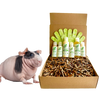 4-HAIRLESS PETS *SKINNYPIG REGULAR KIT