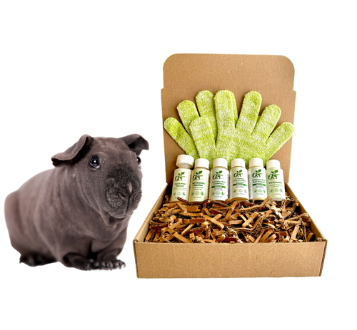 4-HAIRLESS PETS *SKINNYPIG SENSITIVE KIT