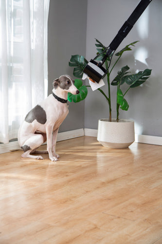 Mr. Peanut's 32 Tall Profile Pooper Scooper