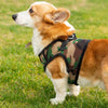 Mr. Peanut's PupTrek Harness and Leash Set,  Small Dog/Cat Soft Mesh Step In Harness Vest