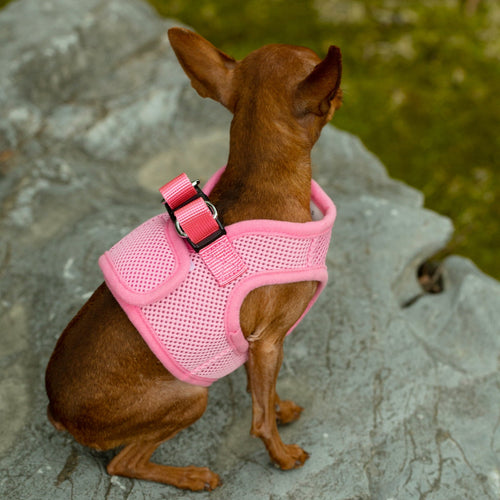 Mr. Peanut's PupTrek Harness and Leash Set,  Small Dog/Cat Soft Mesh Step In Harness Vest