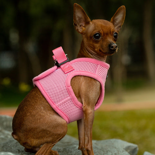 Mr. Peanut's PupTrek Harness and Leash Set,  Small Dog/Cat Soft Mesh Step In Harness Vest