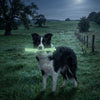 Durable Nylon Glow in the Dark Chew Stick for Power Chewers | USA Made | SodaPup