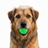 Green Glitter Ball 2-Pack Dog Toy | Soft PUP-X Rubber Floating Fetch Ball with Treat Dispenser | USA Made