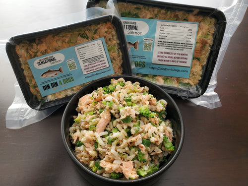 ⭐ SAMPLER - Sensational Salmon 8 Pack