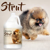 Strut Dog Cologne for the Ruler of the Kingdom