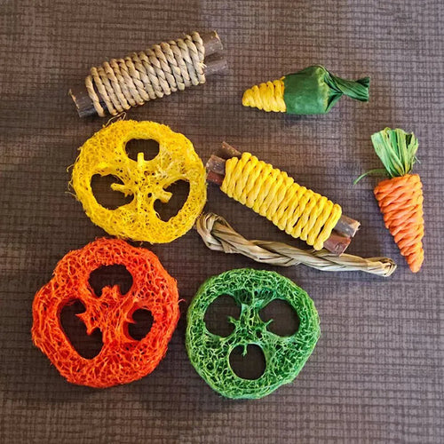 Rabbit Guinea Pig Dragon Cat Chew Toys Tooth Cleaning Toy for Bunny Hamster Tooth Grinding Set Pet Tooth Grinding Snacks