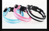 LED Glow Dog Collar & Leash | Nylon Night Safety Flashing Collar
